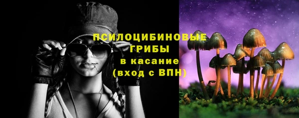 гидропоника Гусь-Хрустальный