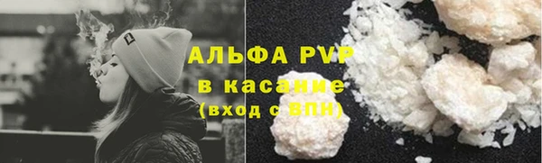 ПСИЛОЦИБИНОВЫЕ ГРИБЫ Туринск