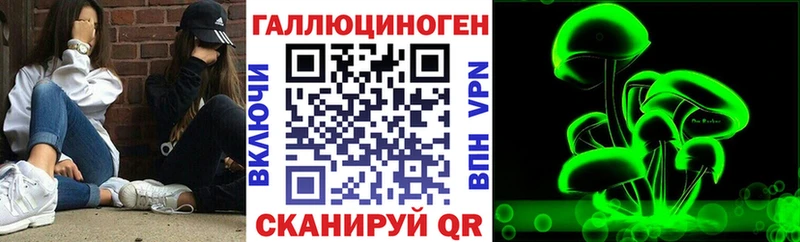закладки  Гудермес  Галлюциногенные грибы Cubensis 
