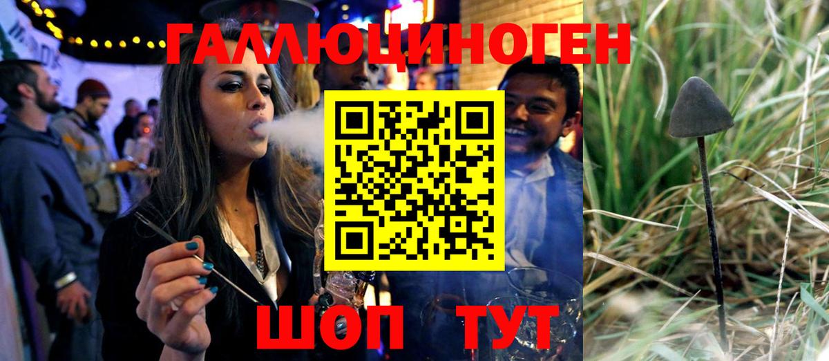 где продают наркотики  Гудермес  Псилоцибиновые грибы мицелий  Псилоцибиновые грибы MAGIC MUSHROOMS 
