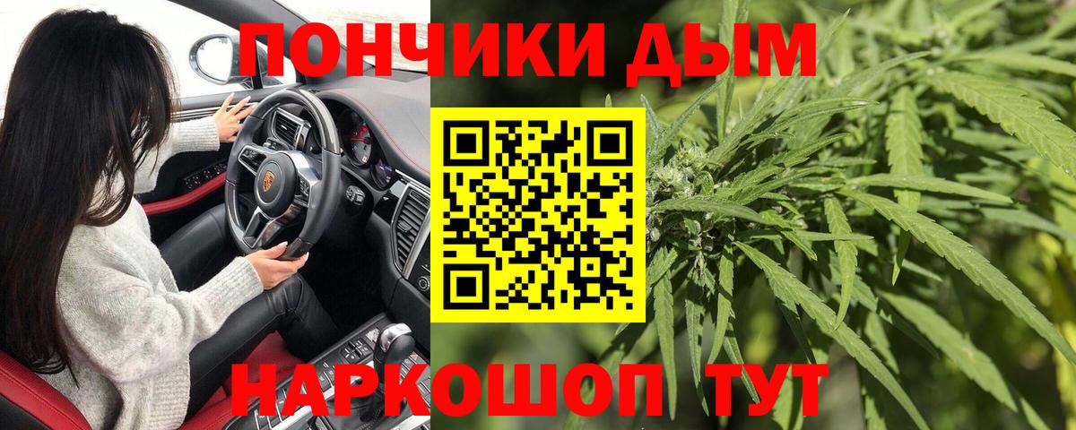 Бошки Шишки Гудермес